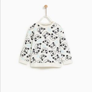 Zara Baby Bear Sweatshirt